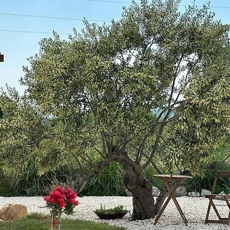 Kuca Za Odmor Zelini Holiday home *